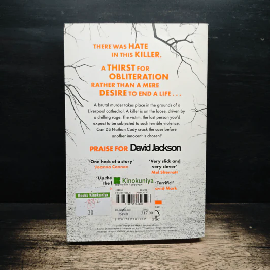 Hope to Die - David Jackson รูปที่ 2