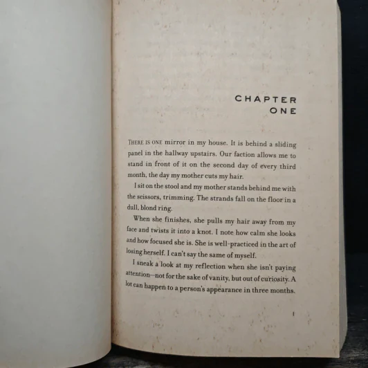 Divergent - Veronica Roth รูปที่ 7
