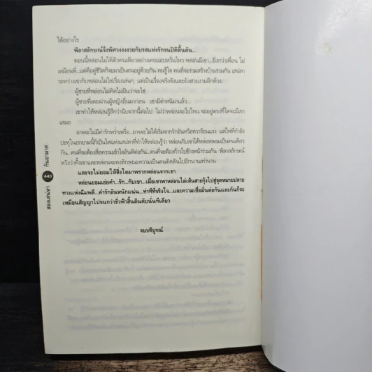 สองเสน่หา - กันยามาส รูปที่ 8