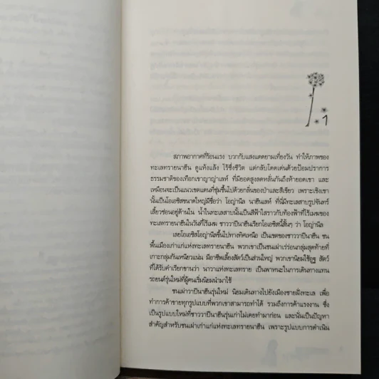 ทะเลทรายลายดาว - เปียรุส รูปที่ 7