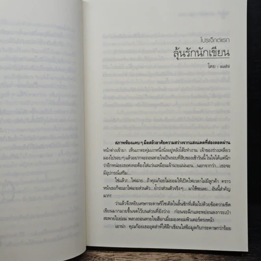 บริษัทรัก(ไม่)จำกัด รูปที่ 8