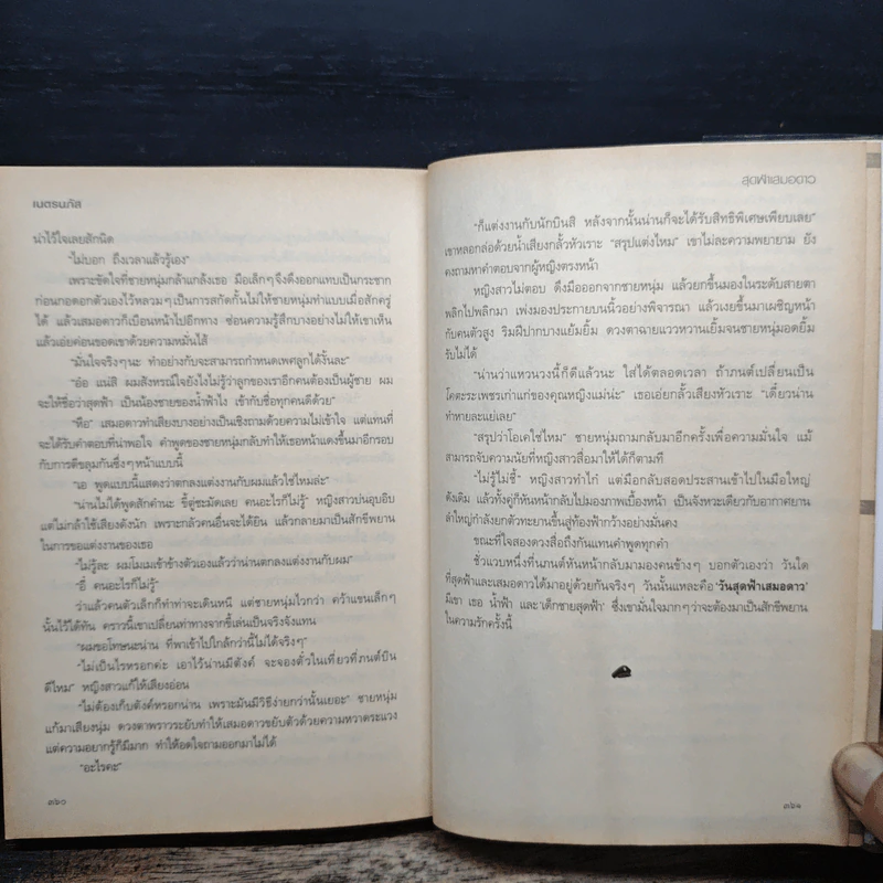 สุดฟ้าเสมอดาว - เนตรนภัส รูปที่ 8