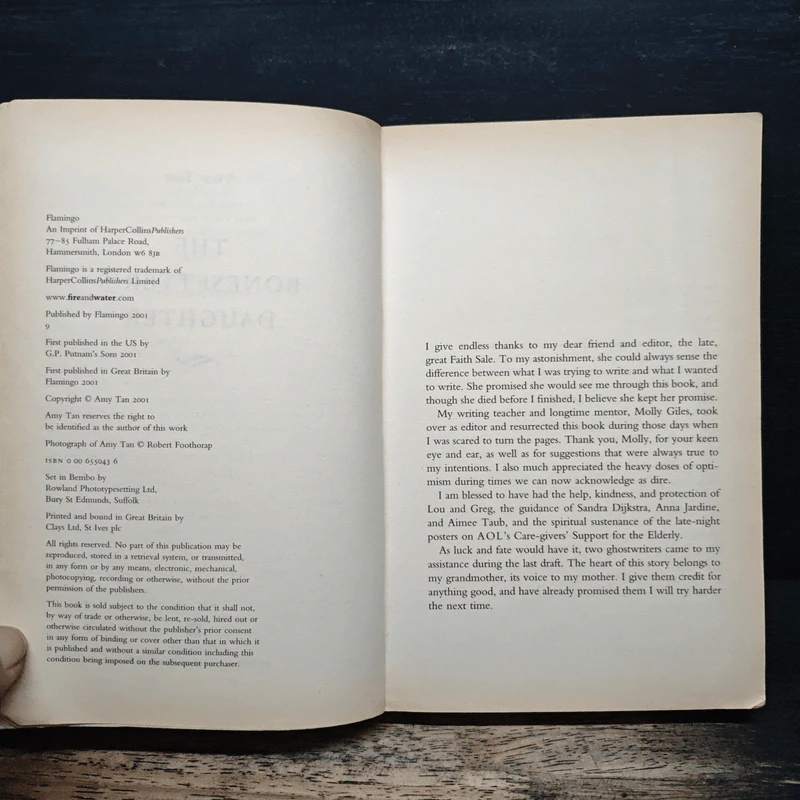 The Bonesetter's Daughter - Amy Tan รูปที่ 6