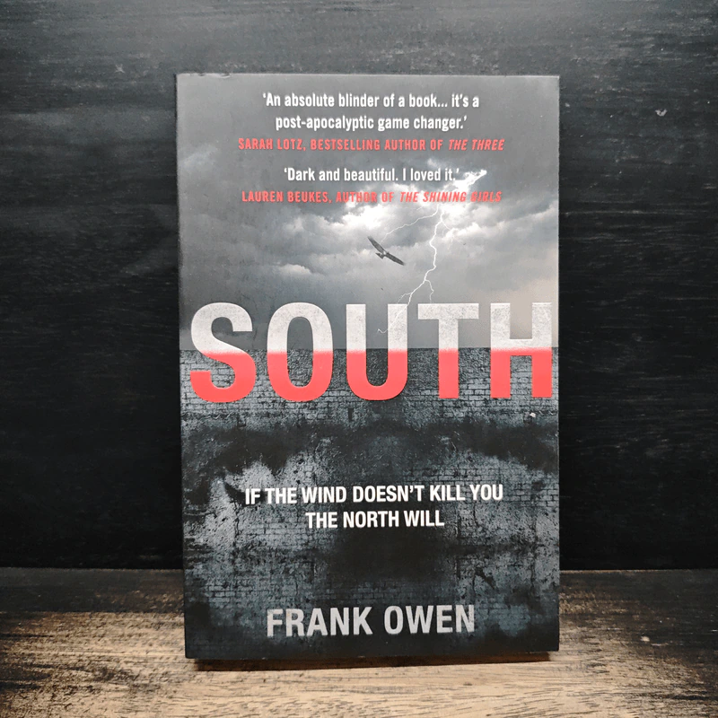 South - Frank Owen รูปที่ 1
