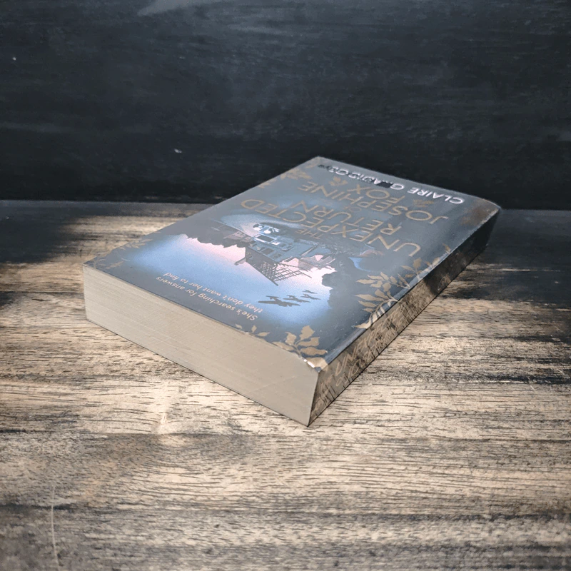 The Unexpected Return of Josephine Fox - Claire Gradidge รูปที่ 5