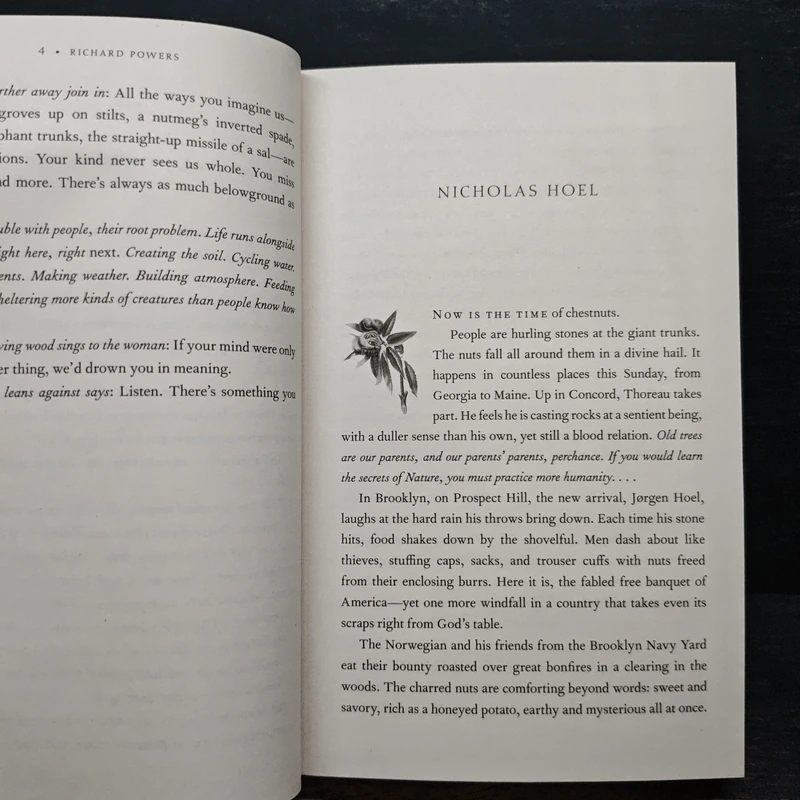 The Overstory - Richard Powers รูปที่ 8