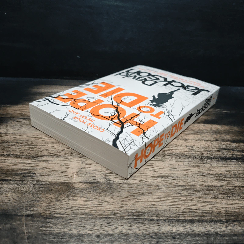Hope to Die - David Jackson รูปที่ 5
