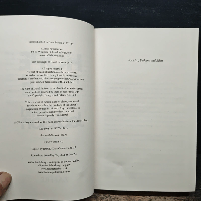 Hope to Die - David Jackson รูปที่ 6