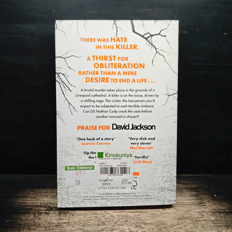 Hope to Die - David Jackson รูปที่ 2