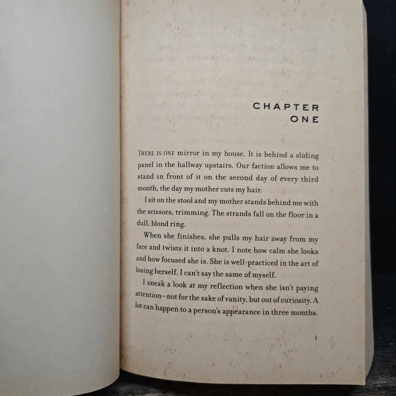 Divergent - Veronica Roth รูปที่ 7