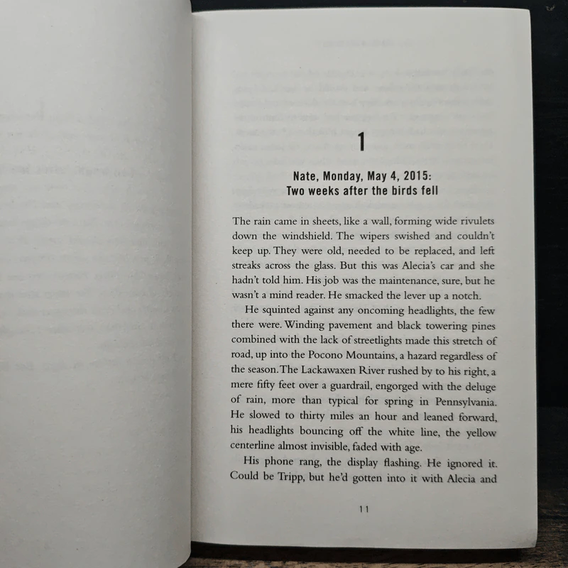 The Blackbird Season - Kate Moretti รูปที่ 7