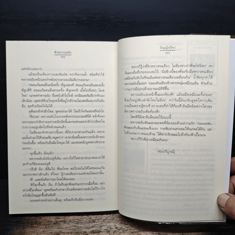 ฟ้าพราวระยับ - ปัญญ์ปรียา รูปที่ 8