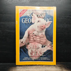 NATIONAL GEOGRAPHIC Vol.196 No.4 October 1999