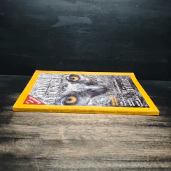 National Geographic ธ.ค.2545 รูปที่ 3