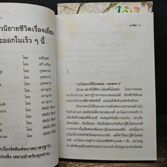 เขยใหญ่สะใภ้เล็ก 2 เล่มจบ - อาริตา รูปที่ 6