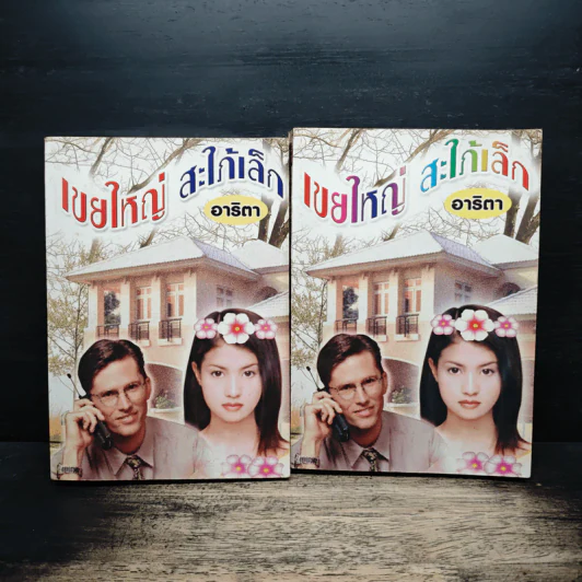 เขยใหญ่สะใภ้เล็ก 2 เล่มจบ - อาริตา รูปที่ 1