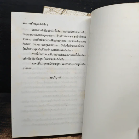 เขยใหญ่สะใภ้เล็ก 2 เล่มจบ - อาริตา รูปที่ 8