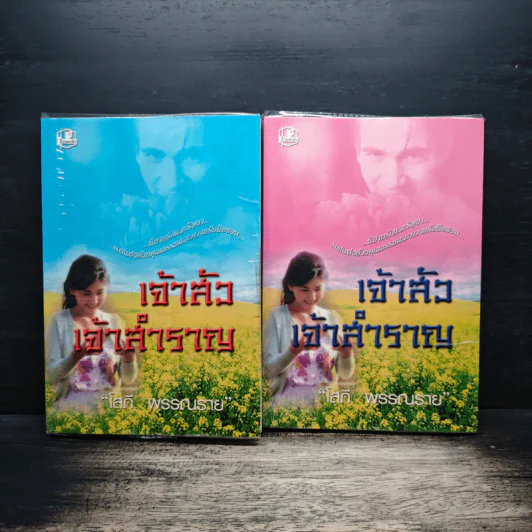 เจ้าสัวเจ้าสำราญ 2 เล่มจบ - โสภี พรรณราย รูปที่ 1
