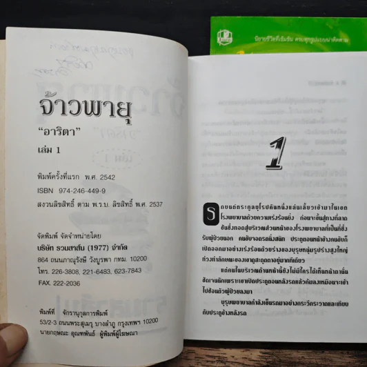 จ้าวพายุ 2 เล่มจบ - อาริตา รูปที่ 7