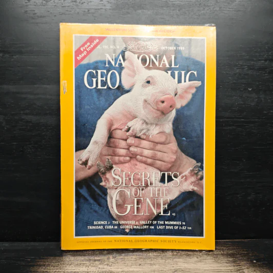NATIONAL GEOGRAPHIC Vol.196 No.4 October 1999 รูปที่ 1