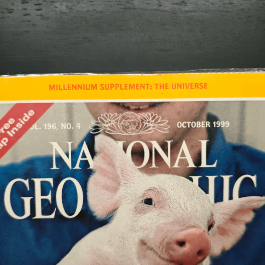 NATIONAL GEOGRAPHIC Vol.196 No.4 October 1999 รูปที่ 7