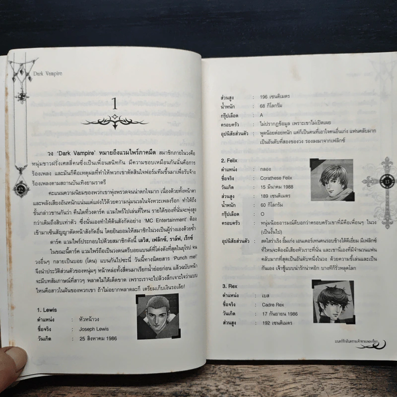 มนตร์รักอันตราย เจ้าชายเพลงร็อก - Nimitra รูปที่ 8