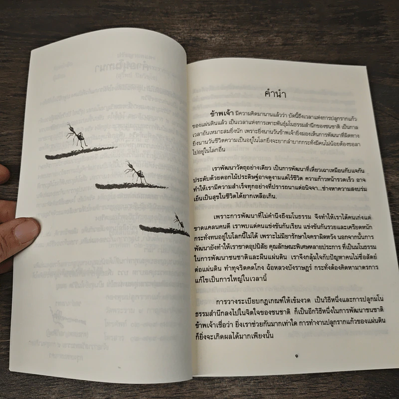 ปรัชญา...มดแดง - ปิยโสภณ รูปที่ 7