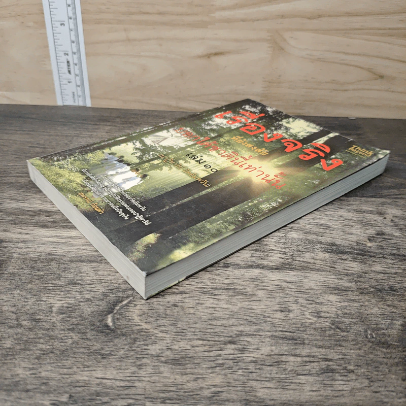 เรื่องจริงที่ยังสงสัย บอกได้ชาตินี้เท่านั้น เล่ม 10 - จุติมา รูปที่ 3