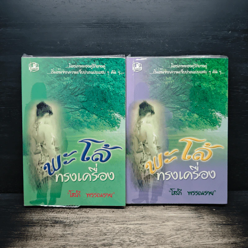 พะโล้ทรงเครื่อง 2 เล่มจบ - โสภี พรรณราย รูปที่ 1