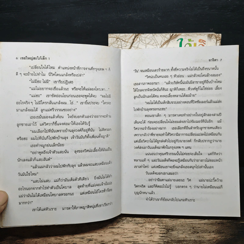 เขยใหญ่สะใภ้เล็ก 2 เล่มจบ - อาริตา รูปที่ 7