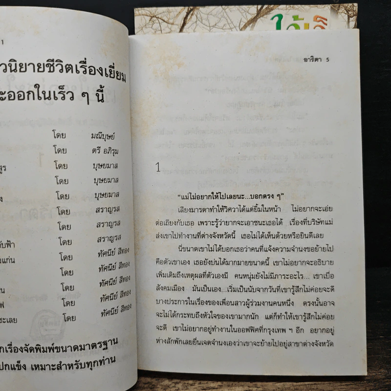 เขยใหญ่สะใภ้เล็ก 2 เล่มจบ - อาริตา รูปที่ 6