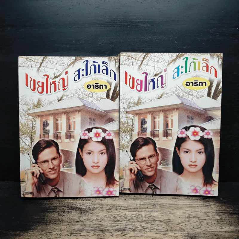เขยใหญ่สะใภ้เล็ก 2 เล่มจบ - อาริตา รูปที่ 1