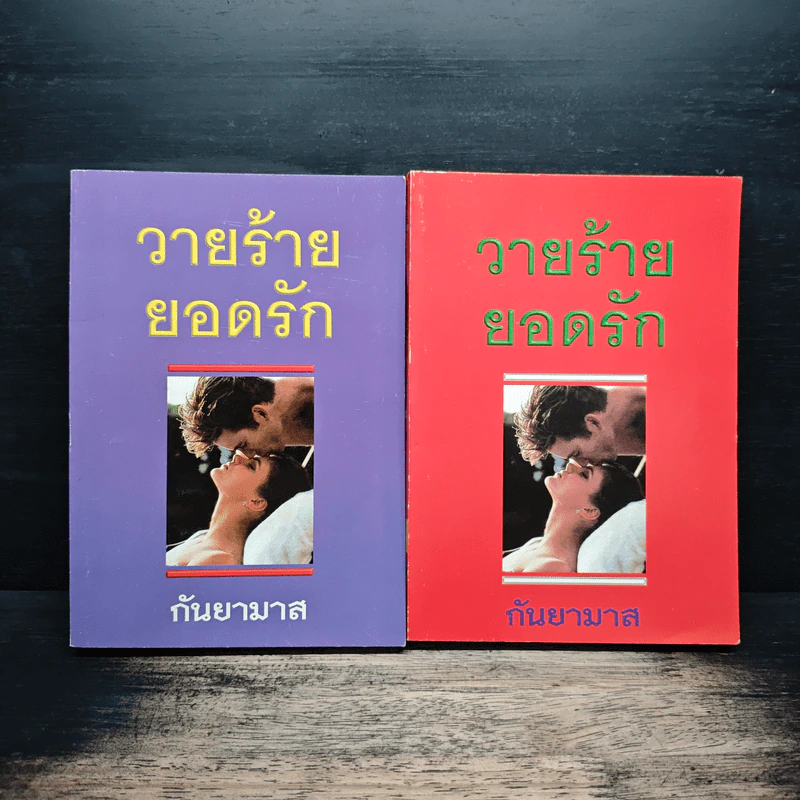 วายร้ายยอดรัก 2 เล่มจบ - กันยามาส รูปที่ 1