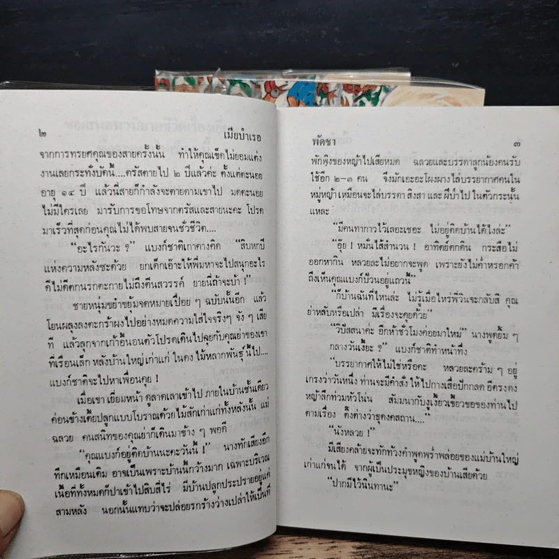 เมียบำเรอ 3 เล่มจบ - พัดชา รูปที่ 7