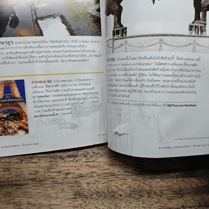 NATIONAL GEOGRAPHIC  ฉบับที่ 116 มี.ค.2554 รูปที่ 11