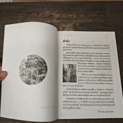 นาฬิกาชีวิต ตอน 2 มะรุม ต้นไม้เพื่อชีวิต - วิไลวรรณ อนุสารสุนทร รูปที่ 6