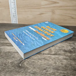 Blue Ocean Strategy กลยุทธ์น่านน้ำสีคราม - W. Chan Kim, Renee Mauborgne รูปที่ 3
