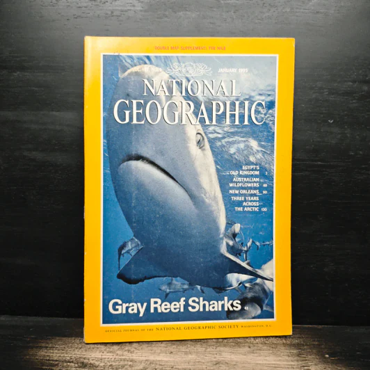 NATIONAL GEOGRAPHIC Vol.187 No.1 January 1995 รูปที่ 1