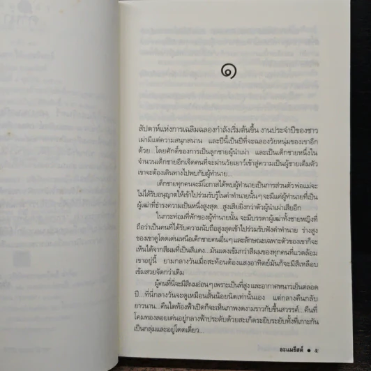 มนตราใต้แสงจันทร์ - อะแมธิสต์ รูปที่ 7