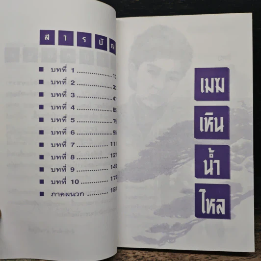 เมฆเหินน้ำไหล - สมเด็จพระเทพรัตนราชสุดาฯสยามบรมราชกุมารี รูปที่ 7