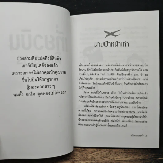 เที่ยวบินพิสดาร - อัปสรสวรรค์ รูปที่ 8
