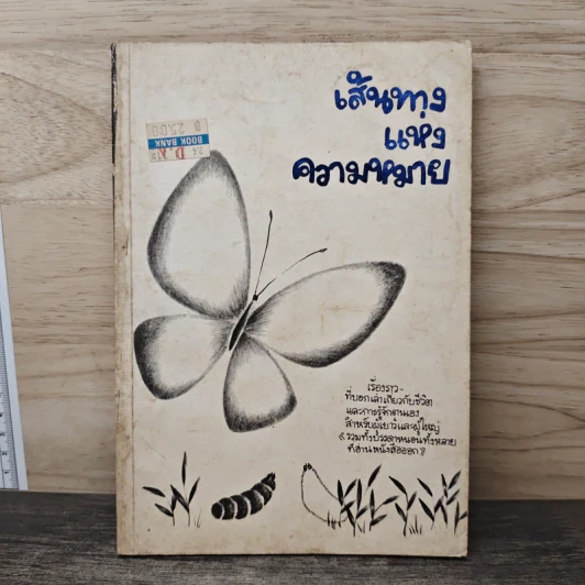 เส้นทางแห่งความหมาย รูปที่ 1