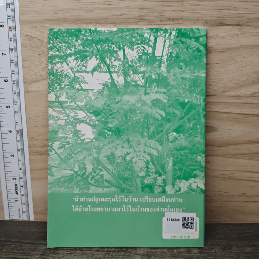 นาฬิกาชีวิต ตอน 2 มะรุม ต้นไม้เพื่อชีวิต - วิไลวรรณ อนุสารสุนทร รูปที่ 5