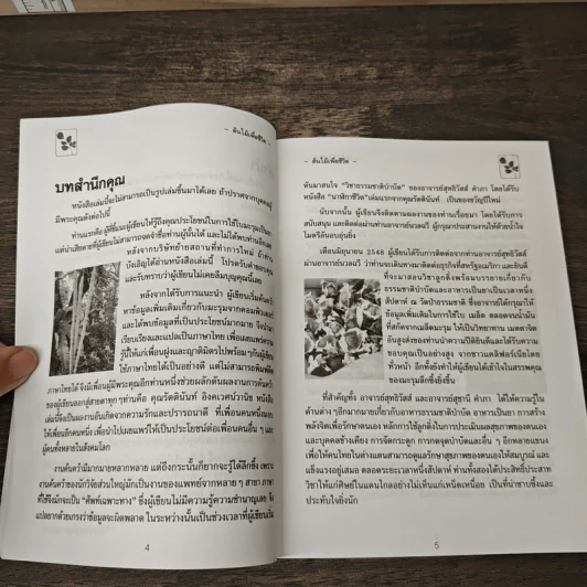 นาฬิกาชีวิต ตอน 2 มะรุม ต้นไม้เพื่อชีวิต - วิไลวรรณ อนุสารสุนทร รูปที่ 7