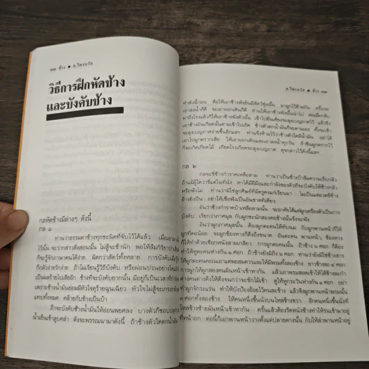 ช้าง - อ.ไพรยวัล รูปที่ 8