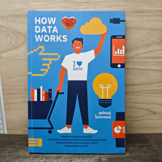 How Data Works - สุณีภรณ์ โอวภากรณ์ รูปที่ 1