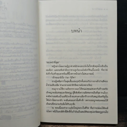 มนตร์หงส์ - วิวา รูปที่ 7