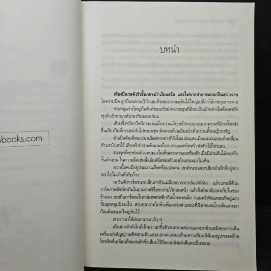 ปฏิบัติการล่าตามหาหัวใจ - ณารา รูปที่ 7