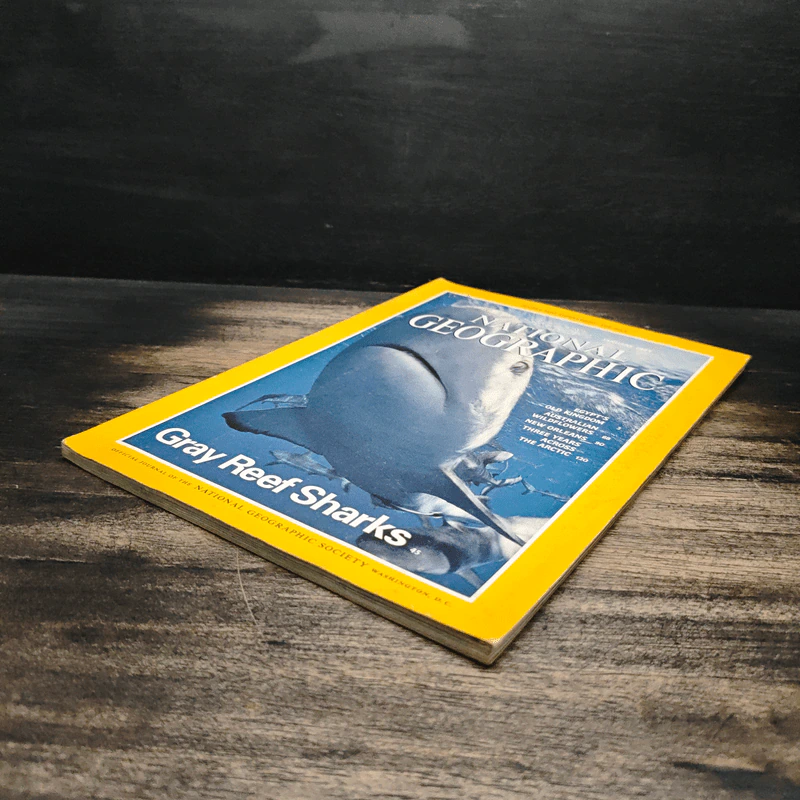 NATIONAL GEOGRAPHIC Vol.187 No.1 January 1995 รูปที่ 4