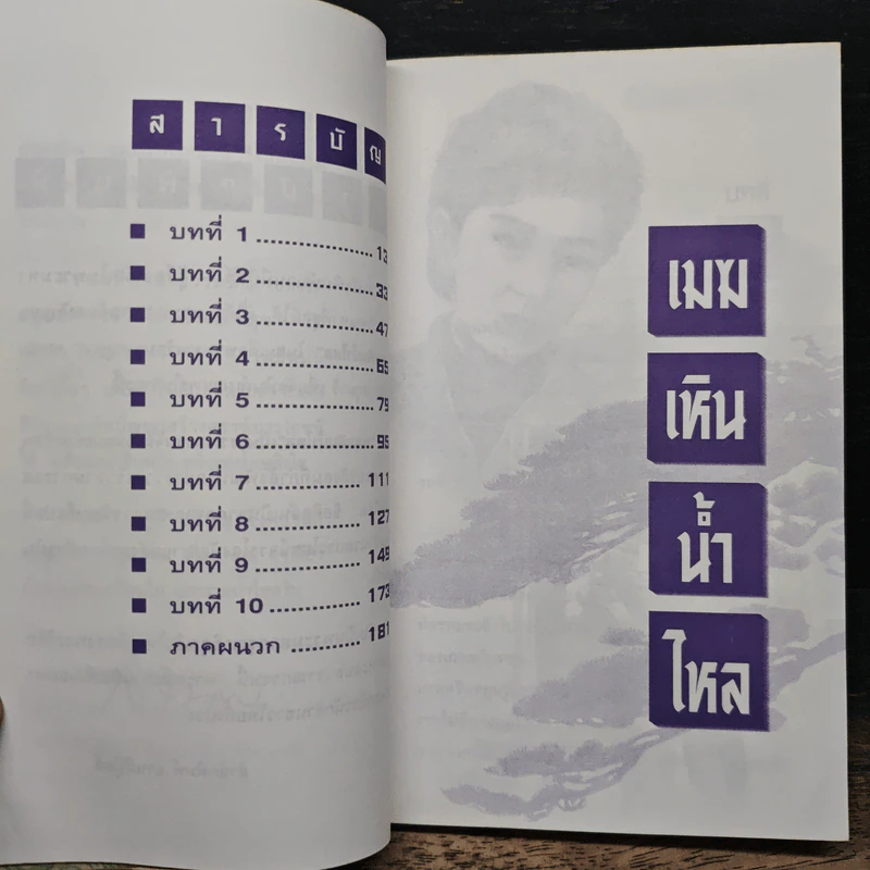 เมฆเหินน้ำไหล - สมเด็จพระเทพรัตนราชสุดาฯสยามบรมราชกุมารี รูปที่ 7